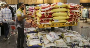 واردات ۷۰۰ هزار تن برنج؛ ثبات بازار در گرو تخصیص به‌موقع ارز