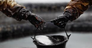سقوط قیمت نفت خام WTI و برنت همزمان با نگرانی از افزایش عرضه اوپک‌پلاس