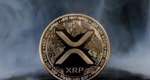 آخرین وضعیت بازار رمزارزها/ در جهان جهش عظیم ریپل فرا رسید