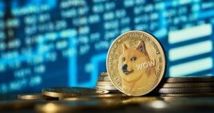 سقوط ۱۷ درصدی دوج‌کوین