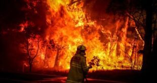 افزایش گرمای جهانی، هر دقیقه جان یک نفر را میگیرد