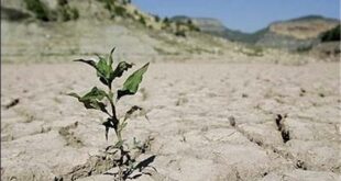 ایران در آستانه پاییز خشک‌تر؛ هشدار درباره تداوم بحران آب