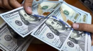 بدهی ارزی فولاد شرق کاوه و ناتوانی عرشی‌زاده