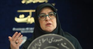 دولت تصمیمی برای حذف ارز ترجیحی دارو و کالاهای اساسی ندارد