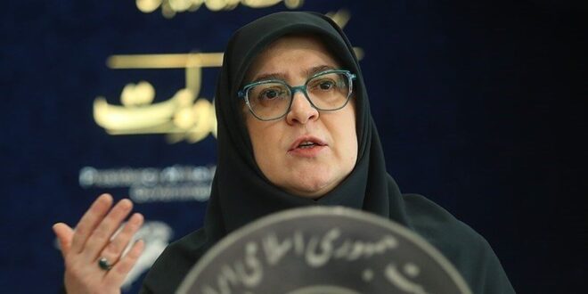 دولت تصمیمی برای حذف ارز ترجیحی دارو و کالاهای اساسی ندارد