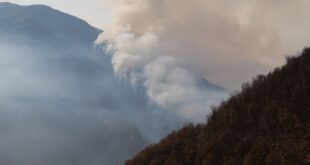 مهار ۹۵ درصدی آتش سوزی جنگل‌های الیت