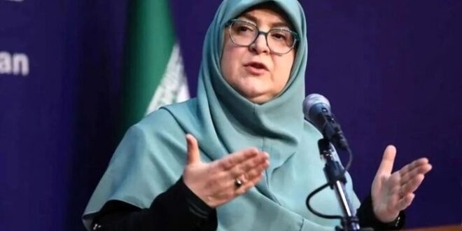 توضیح سخنگوی دولت درباره سهمیه بنزین تاکسی‌های اینترنتی و خودروهای نوشماره