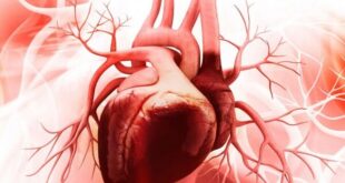 درمان آسیب‌های کوچک قلبی بدون جراحی ممکن شد!