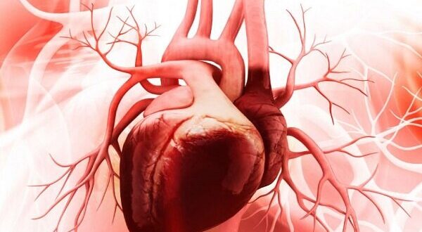 درمان آسیب‌های کوچک قلبی بدون جراحی ممکن شد!