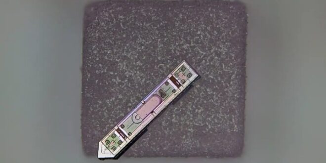 قدرت خواندن ذهن از طریق یک دانه نمک!