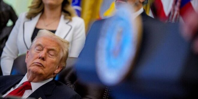 چرت زدن ترامپ در نشست کاخ سفید، دستمایه طنز فرماندار کالیفرنیا شد