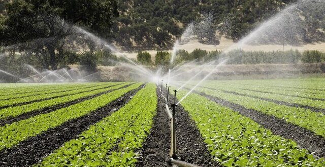 کاهش ۴۰ درصدی مصرف آب با فناورهای نوین آبیاری