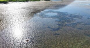 بحران آب تهران به مرز تنش جدی رسیده است