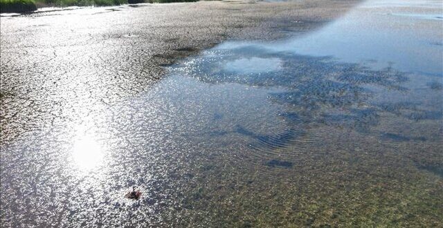بحران آب تهران به مرز تنش جدی رسیده است