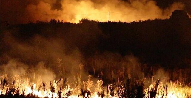 آتش‌سوزی جنگلی گسترده در نیوزیلند