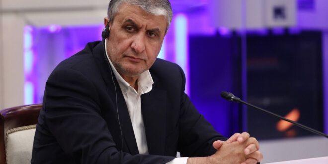 آژانس اگر دستورالعملی برای بازرسی از تاسیسات آسیب دیده از حمله نظامی دارد ارائه کند