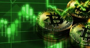 رشد دوباره بیت‌کوین