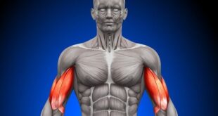 نامه مولکول‌های بدن به یکدیگر فاش شد