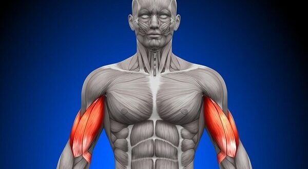 نامه مولکول‌های بدن به یکدیگر فاش شد