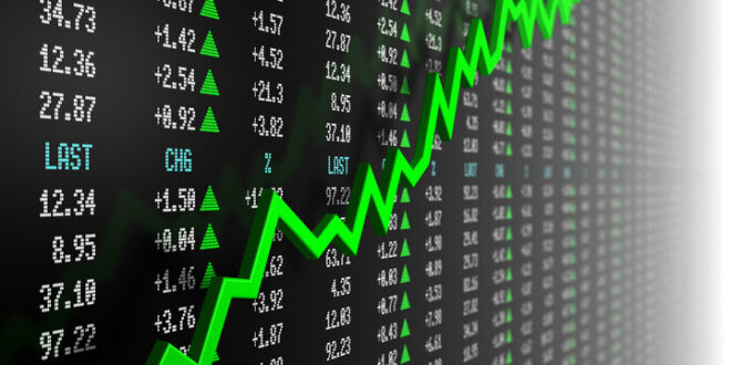 رشد ۲۴ هزار واحدی بورس