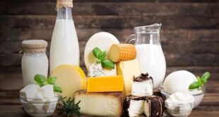 مصرف این غذاها در هوای آلوده فراموش نشود