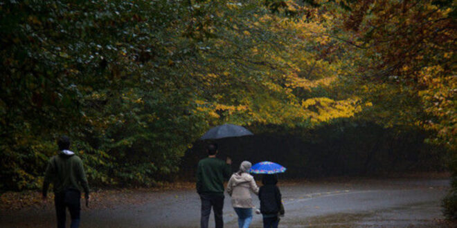 کدام استان‌های کشور بارانی می‌شوند؟