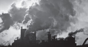 آلودگی هوا چگونه موجب تشدید سینوزیت مزمن می‌شود؟