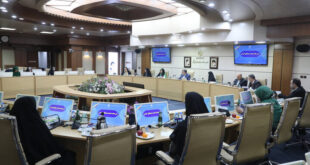 اجرای سیاست های جمعیتی عزم ملی می خواهد