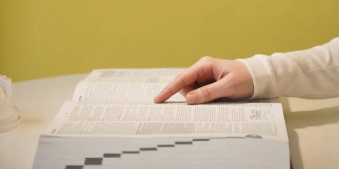 «تفاله» زیر سایه هوش مصنوعی کلمه سال ۲۰۲۵ شد