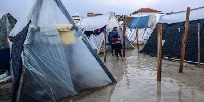 آوارگان هیچ سرپناهی جز چادرهای فرسوده ندارند