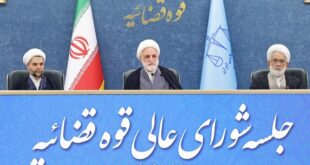 بعضا افرادی که زمانی انقلابی دوآتشه بودند اکنون مصرحات قانون اساسی را انکار می‌کنند