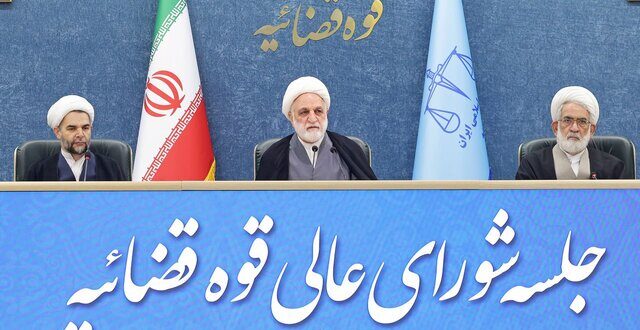 بعضا افرادی که زمانی انقلابی دوآتشه بودند اکنون مصرحات قانون اساسی را انکار می‌کنند