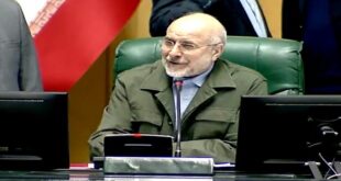 مشکلات مردم با تعامل دولت و مجلس حل می‌شود