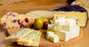 پنیر پرچرب و خامه می‌توانند از مغز در برابر زوال عقل محافظت کنند