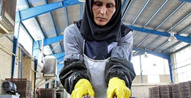 افزایش دستمزد به‌تنهایی چاره نیست