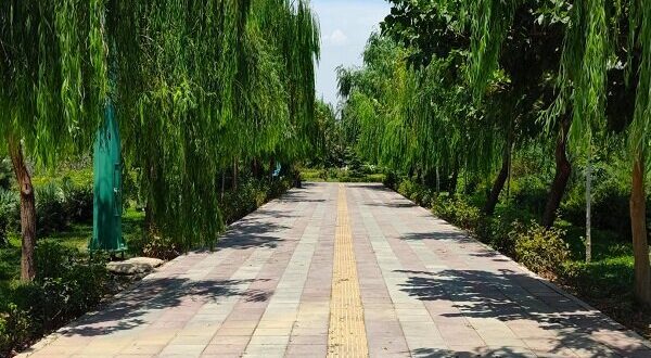 آغاز فوری پایش ایمنی بوستان‌ها در آستانه نوروز