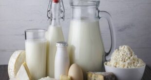 تاکید وزارت بهداشت بر مصرف لبنیات پاستوریزه