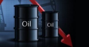 سقوط ۲ درصدی قیمت نفت در بازار جهانی