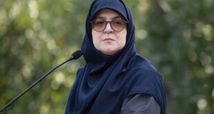 قدردانی سخنگوی دولت از وفاداری هنرمندان متعهد به ایران