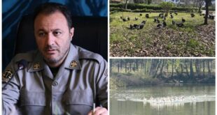 انتقال موقت پرندگان باغ پرندگان لویزان به مازندران برای حفاظت در شرایط جنگی