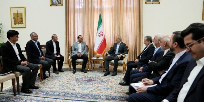عاصم منیر با پزشکیان دیدار کرد