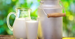 ناگفته‌هایی از ماندگاری شیرهای پاکتی؛ هشدار متخصص تغذیه