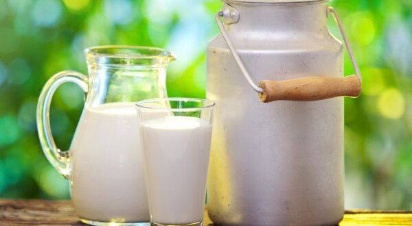 ناگفته‌هایی از ماندگاری شیرهای پاکتی؛ هشدار متخصص تغذیه