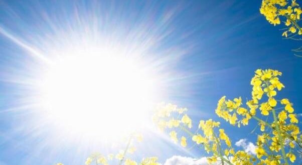 ماجرای ضدآفتاب های خوراکی!
