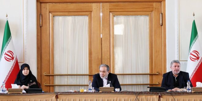 وزارت خارجه با تکیه بر رهنمودهای رهبر انقلاب، منافع عالیه کشور را پیگیری می‌کند