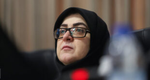 قول سخنگوی دولت برای پیگیری مسئله جابه‌جایی اموال هنرهای ملی