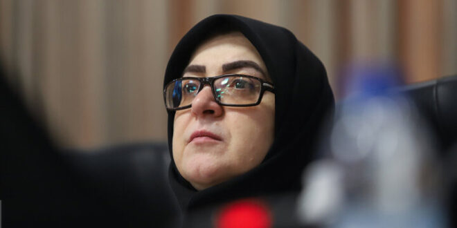 قول سخنگوی دولت برای پیگیری مسئله جابه‌جایی اموال هنرهای ملی