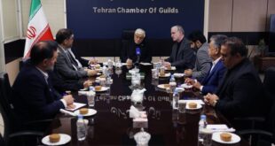 دولت آماده واگذاری اختیارات بازار به اصناف است