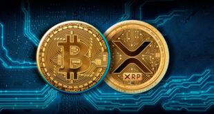 بیت‌کوین و ریپل در مسیر سرنوشت‌ساز
