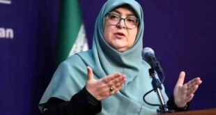 القای ناکارآمدی نقد دولت نیست، تضعیف سرمایه اجتماعی است